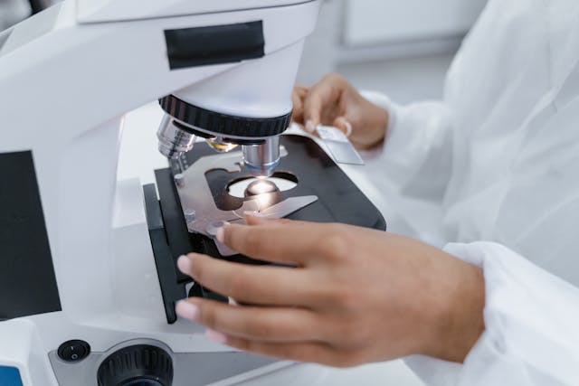 RNA Sequencing: A Window Into The Transcriptome